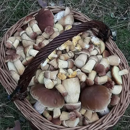 Gawrys Farmház