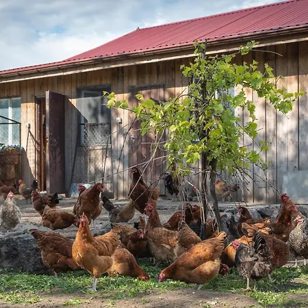 Gawrys Farm stay