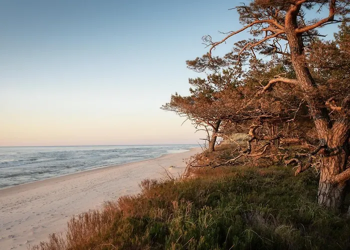 Gawryś Gospodarstwo agroturystyczne Sasino